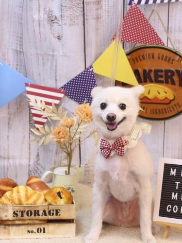 20240915しゅんくん